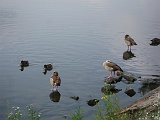 2014-08-05_10-34-22