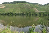2014-08-05_12-00-18