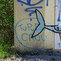 2025-05-01_12-36-35