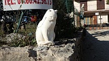 2016-10-08_17-01-39