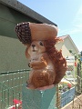2021-06-12_11-23-19_Palinges