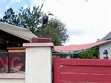 2019-06-15_10-25-25
