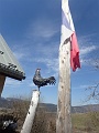 2019-03-31