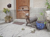 2019-08-22_Champoleon