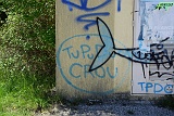 2025-05-01_12-36-35