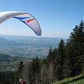 IMG_1559
