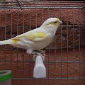 2006-04-17 09-58-55_88