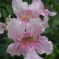 2006-04-17 09-58-55_94