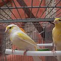 2006-04-18 18-28-52_21