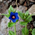 IMG_0167