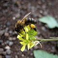 IMG_0170