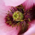 IMG_0254