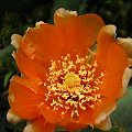 IMG_0286