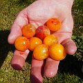 2007-08-25 13-49-31_003