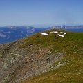 2007-08-25 13-51-25_004