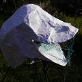 2007-08-19 18-58-12_011