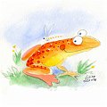 grenouille