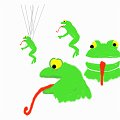 grenouille2