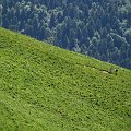 img_3995