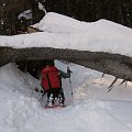 2009-03-14_11-27-21