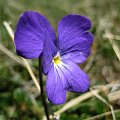 2009-05-16_12-28-41