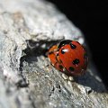 2009-05-16_13-23-40