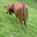 2009-06-21_10-26-14_JBD