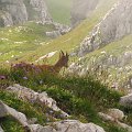 2009-08-12_12-51-16