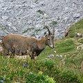 2009-08-12_16-29-20