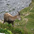 2009-08-12_16-29-42