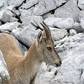 2009-08-12_16-36-39