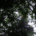 2010-07-29_10-02-22