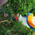 2010-07-29_10-50-37_JBD