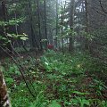 2010-07-29_12-58-55