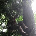 2010-07-29_13-03-26