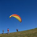 2010-07-31_11-54-05