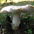 2010-10-09_15-26-18