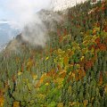 2010-10-09_16-43-50