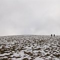 2010-12-31_13-31-54