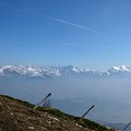 2011-03-06_13-34-28