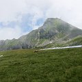 2012-07-22_13-54-49
