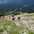 2012-08-03_18-12-23
