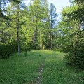 2013-07-22_08-14-36