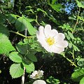 2013-07-22_08-33-48