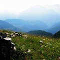 2013-07-22_09-25-20