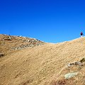 2017-10-05_12-43-46