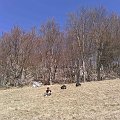 2018-04-19_11-22-26_SC