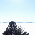 DSC00819