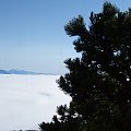 DSC00820