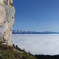 DSC00821
